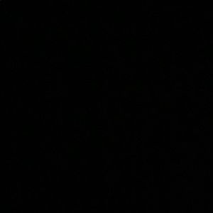 Meet your Posher, Frank